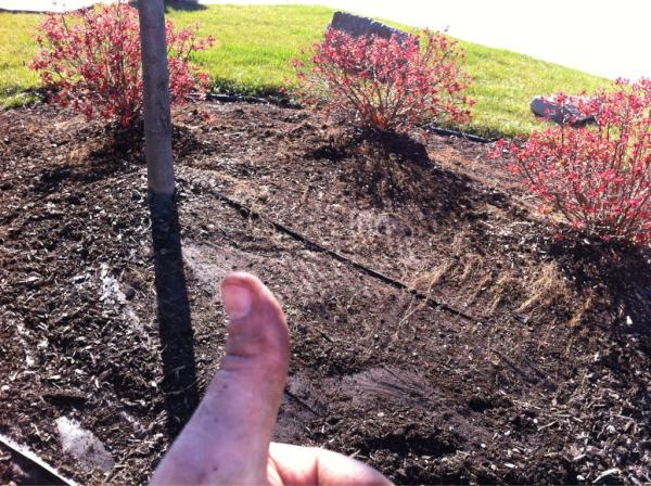 VoyLandscaping's tweet photo. Good Friday morning. Everything is closed.... Except #Voysielandscaping http://t.co/nR89XJcu