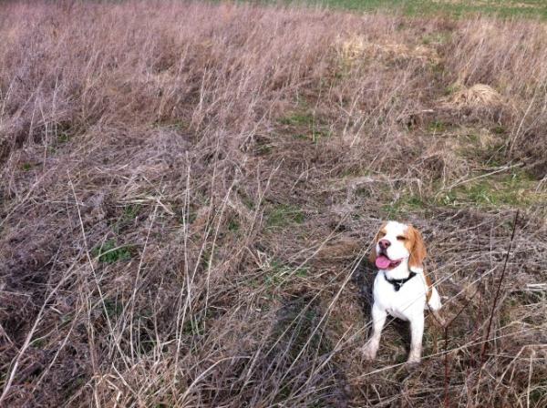 Simona Ozomova (@krteckaaa) on Twitter photo 