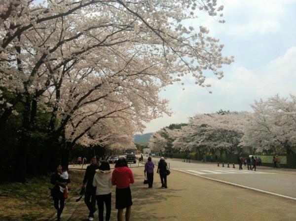 미술관에 눈이 왔어요 ㅎㅎ 
주말에 비가온다는데 벌써부터 걱정...