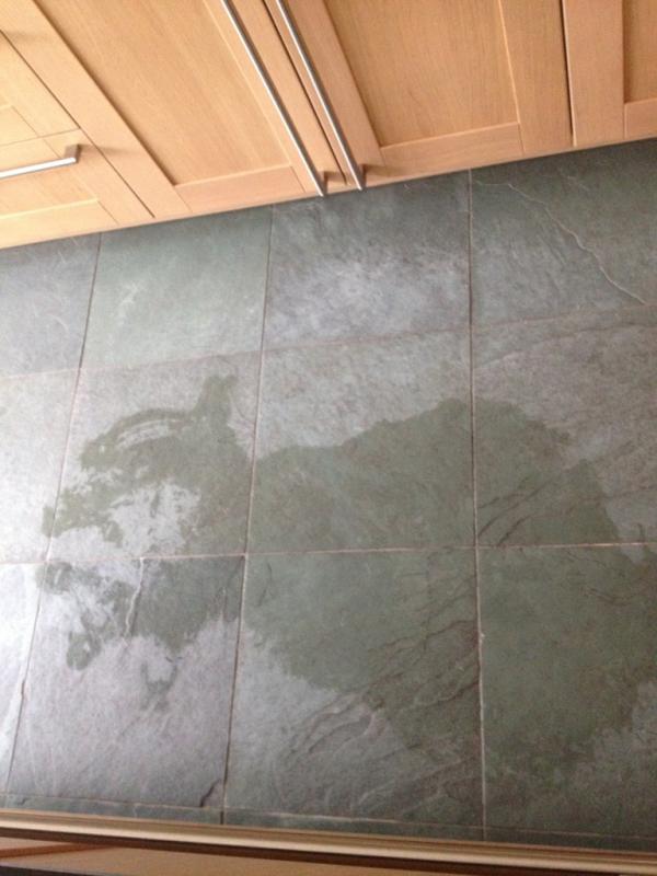 Has a pre-historic kangaroo been lying in our kitchen?