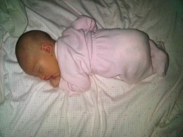 AlePiemon's tweet image. 