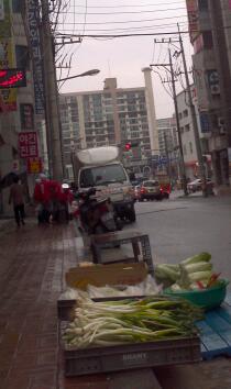 전주시완산구을 새누리당 정운천 후도의 선거운동원들이 전봇대의 불법 전단지를 손수 떼고 있습니다.
선거가 내일인데 바쁘신와중에도 수고하시네요