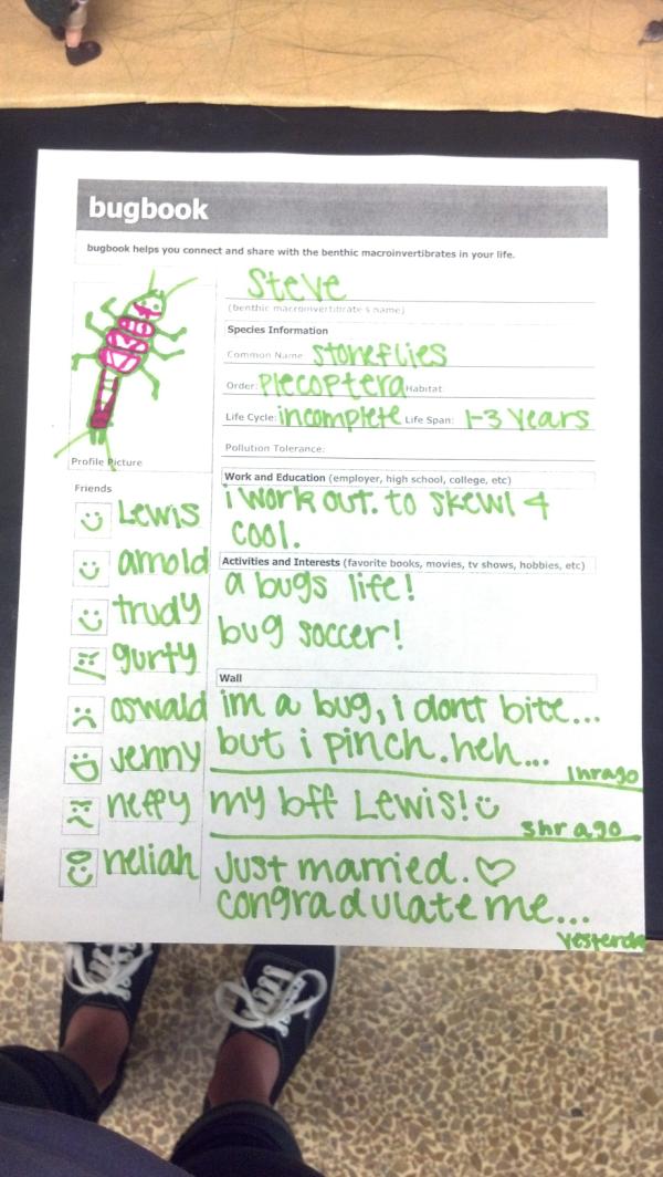 m3lnayy's tweet image. My bugs Facebook #BugBook