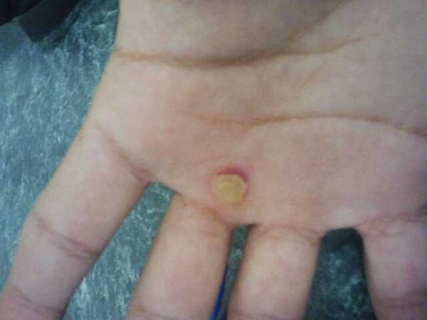 MistaCruise's tweet image. Batting practice for 2 hours everyday and you're bound to get one of these @ShtBallPlayrsDo #Dedicated #HittingMachine