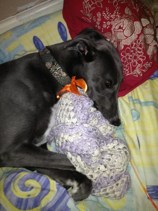 Emjcot's tweet image. Little baby in his Easter bow