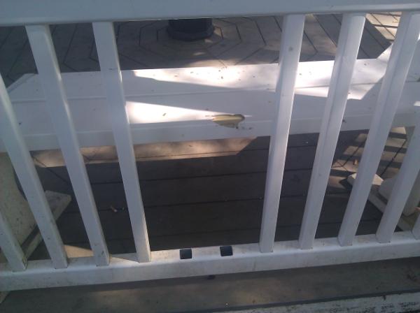 deepdishbooty's tweet image. People are stupid. And there are two more missing bars, not pictured. #hendrixproblems