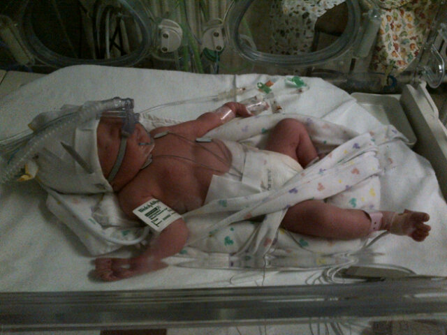 Everyone meet Alisha Ellie Love http://t.co/RZJ7a4FM<a href="/tag/allelite"class="tags"><span>#allelite</span></a>