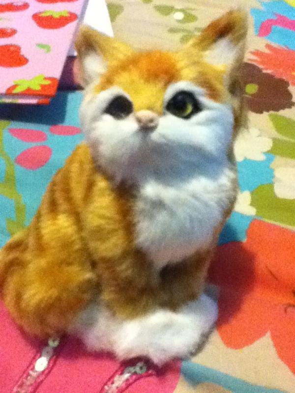SUPERMANCarrots's tweet photo. @Harry_Styles do you like my pussy? http://t.co/oraxfEkV