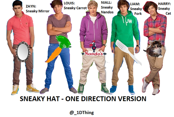 tarrahjohnson's tweet photo. ONE DIRECTION SNEAKY HAT!! #1DFamily http://t.co/ULwktOe1