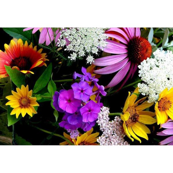 Flowers are the best start for a refreshing morning :)