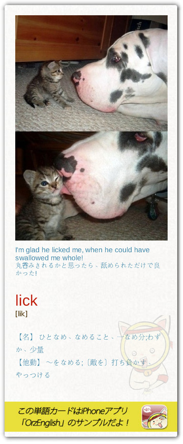 MartinPooo's tweet image. 子猫が超カワイイ！この犬はグレート・デーン？大型犬だけど穏和な性格らしく別名を「優しい巨人」、「犬の中のアポロン神」って言うんだって。★Lick one's chops 舌なめずりをする; have a Lick ～をちょっとなめてみる