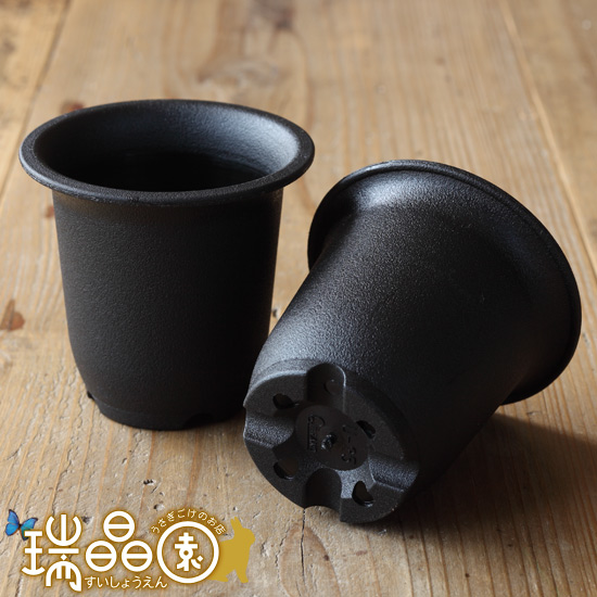 銀花堂 Ginkado Twitter