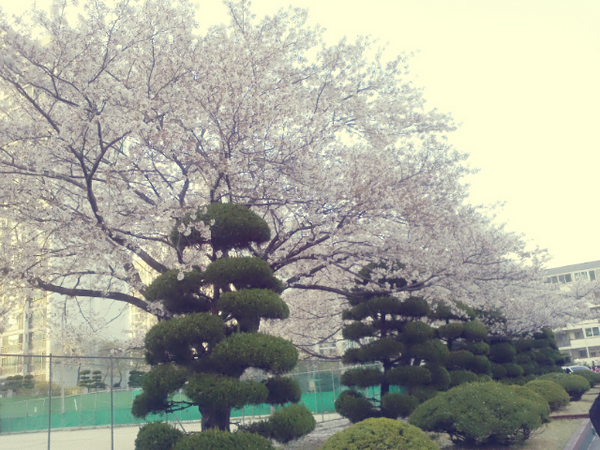kum_hee94's tweet photo. 이쁜우리학겨이요 ㅋㅋㅋ http://t.co/P2VFxVHt