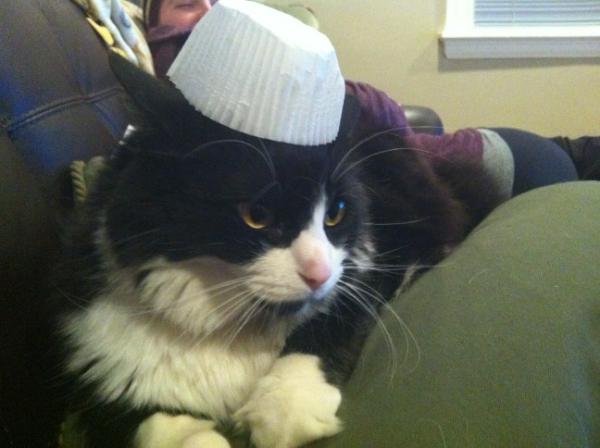 Matt Anacker tweet media