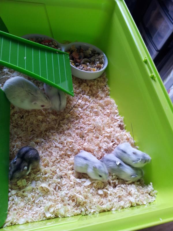 angelique v/d vlies (@a_vlies) on Twitter photo 