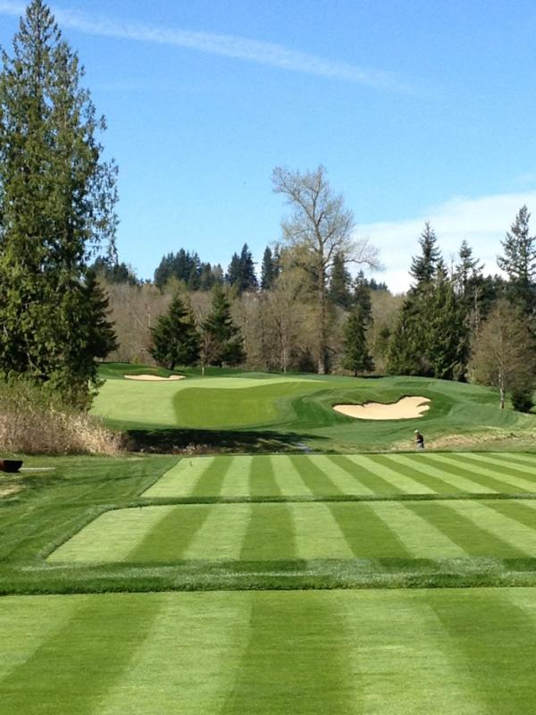 spartangrass's tweet image. 50/50 cut is a cool effect
#turfnerd
#turfgrass