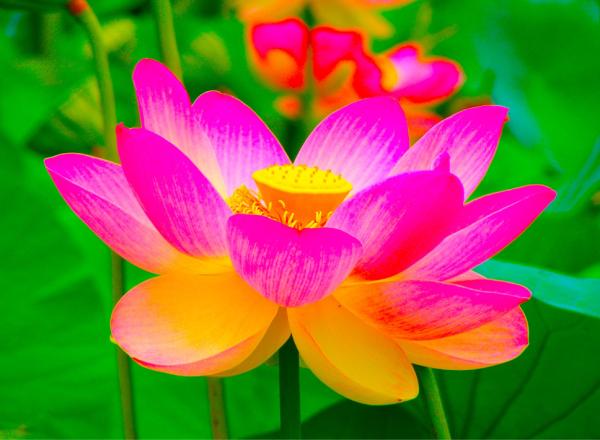 MobilebilityiOS's tweet image. Checkout photo I edited w/ Image Filter for iOS! By @MobilebilityiOS mobilebility.com/imagefilter