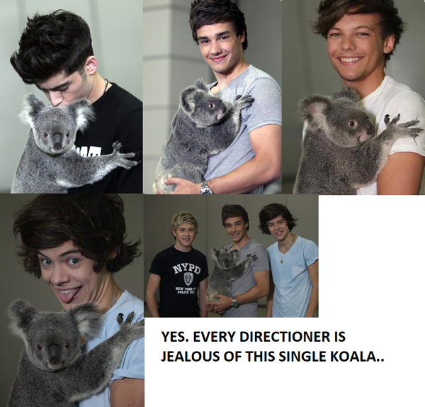 tarrahjohnson's tweet photo. RT- if you're jealous of this koala.. http://t.co/YOVe9UFq