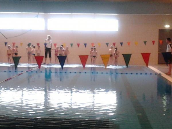 Diplomazwemmen Jasper bij todan, tropisch klimaatje binnen