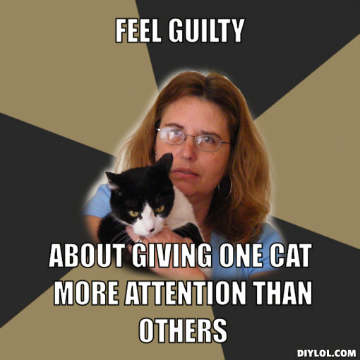 Cat Lady Problems (CrazyCatProbz) Twitter