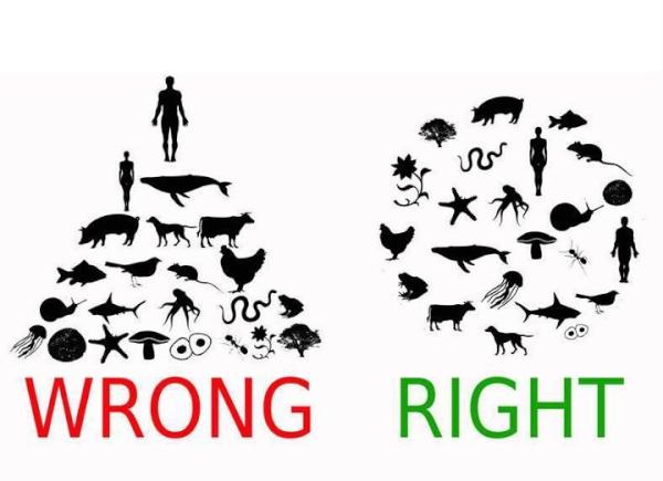 Katrina_Psychic's tweet photo. We are all here in the school of life as students and as teachers, no matter what form we arrived in... http://t.co/cJyz6TZf