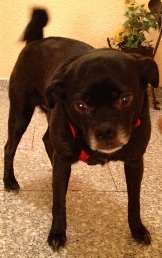 Zachary PontiCos (@lordofthesound) on Twitter photo 