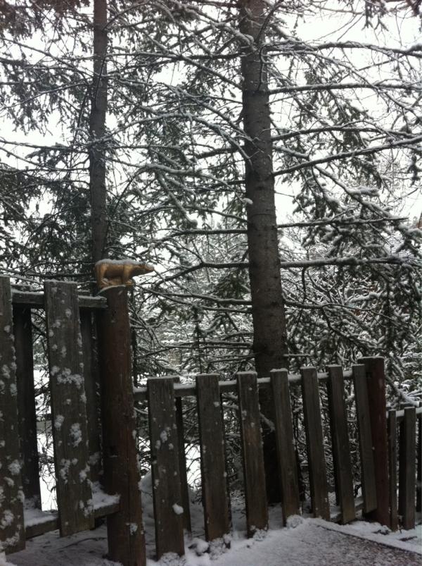 A quiet snowy Aprils' Eve in #Banff. #dogwalk!?