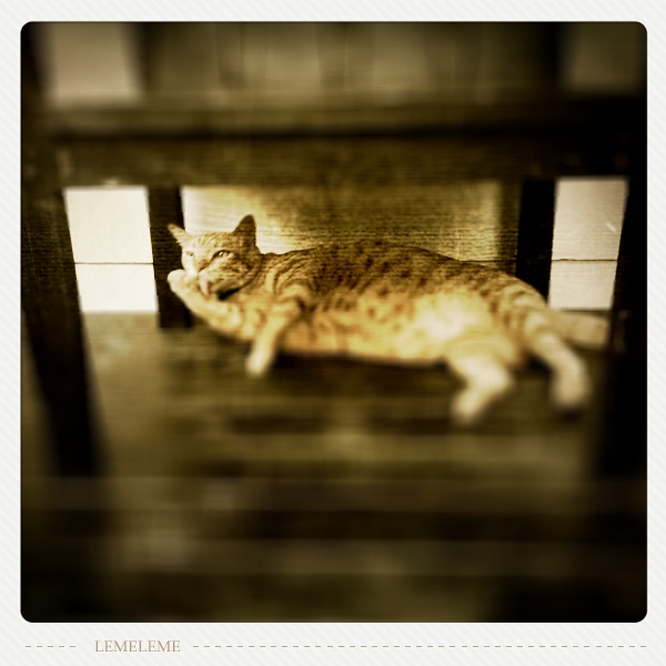 anuson tweet picture
