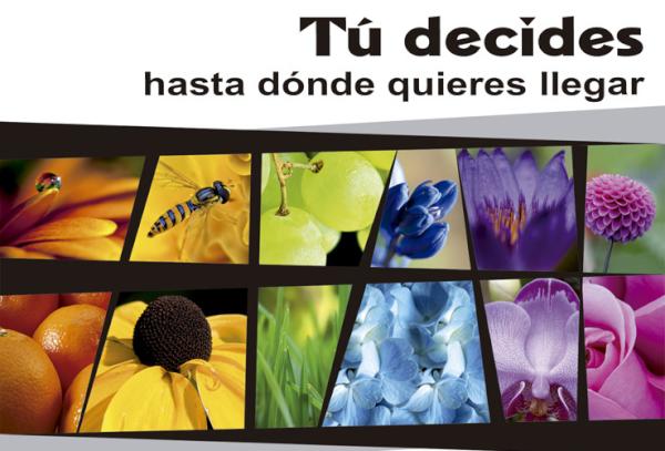 FullColorPub's tweet image. Les tenemos buenas noticias...