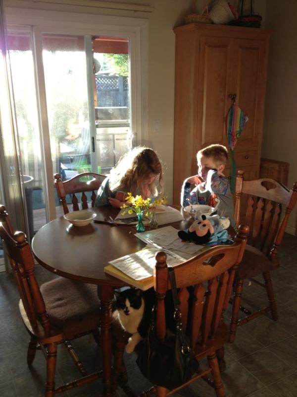 Shawn Bender (Shawn_Bender) Twitter