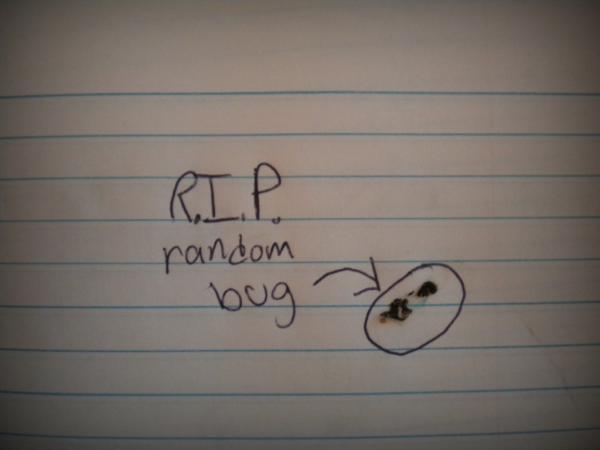 LifeOfEntity's tweet image. What I have accomplished today.