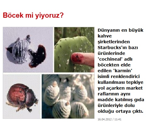 Starbucks ile ilgili medyadan haberler...(2)