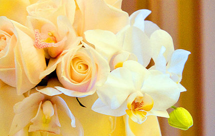 Floral Arrangements for Weddings, Centerpiece Arrangements, Wedding Bouquet & Floral Designs. bit.ly/GM8qPM