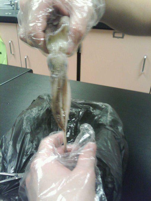 Watch Just Whit 😌's leaked NSFW photo on TwXstars