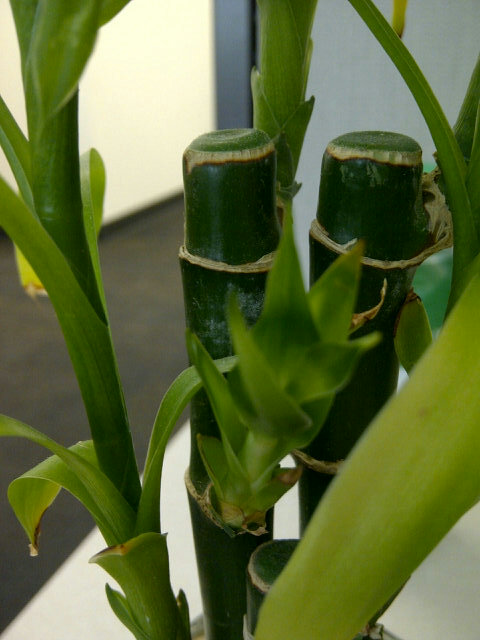 testcheckit9 tweet picture