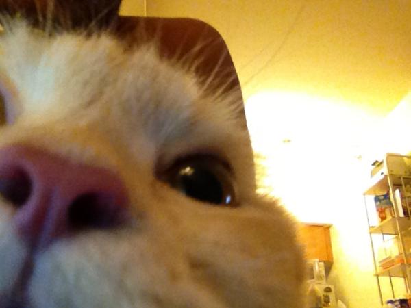aramsb's tweet photo. Yo.. http://t.co/Ire6Blms