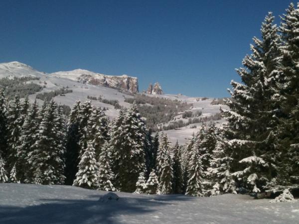 White surprise today! :)