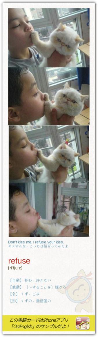 MartinPooo's tweet image. 動物とキスして病気になる人もいるし、ならない人もいる、ムツゴロウさんとかなってないもんね。ちなみに、動物の唾は人間の唾より殺菌力があるというのは嘘らしい。★Refuse a marriage proposal 縁談を断る