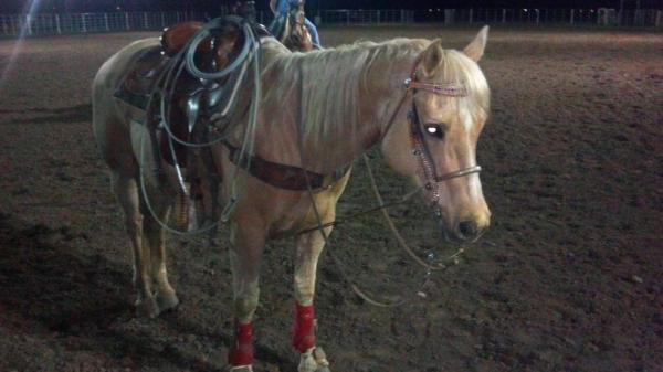 Kegan2611's tweet image. Bad bad man #solidpractice @LaneMchapman