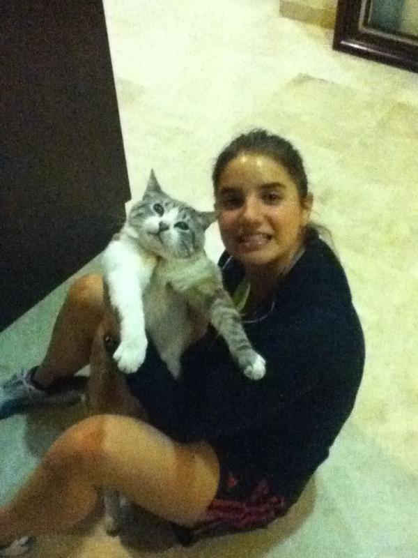 karlakiamy's tweet image. Kitty bailando #RobotStyle