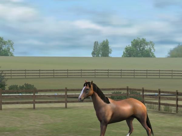 Check out my photo! Add me, PickyYucca102. #MyHorse nmgam.es/horse_twitter