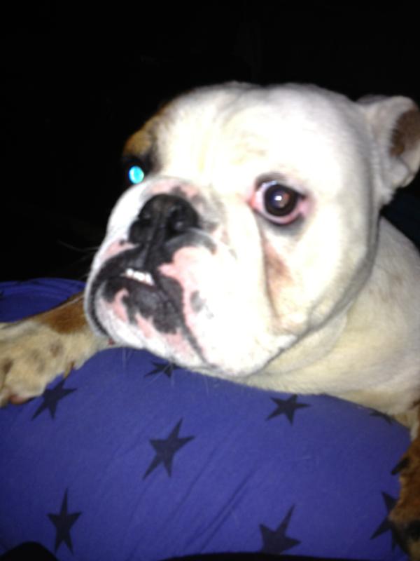 Nev x