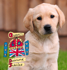 Sparkle, our Diamond Jubilee puppy, can now be sponsored. For more details follow this link bit.ly/ICUluo