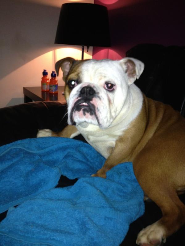 My pooch nev sat next to his mummy :)