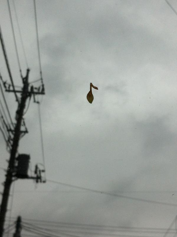GarageDouble's tweet photo. おはようございます！
GWあいにくの天候ですが、車のフロントガラスに音符が！良い事ありますように(^^)今日も一日頑張りましょ！ http://t.co/dXVtB8Qa