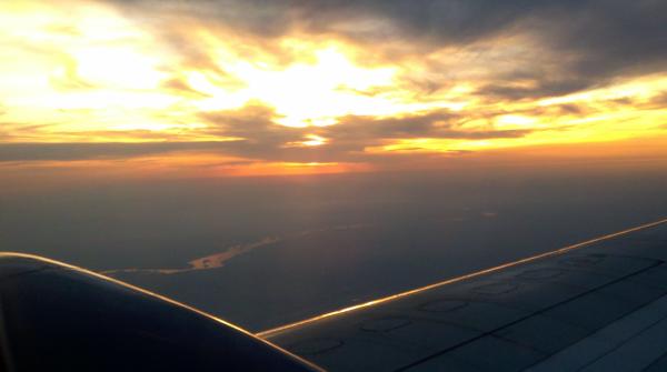 Back to Cali. Time to plan another harvest. May it be one for the books:-)