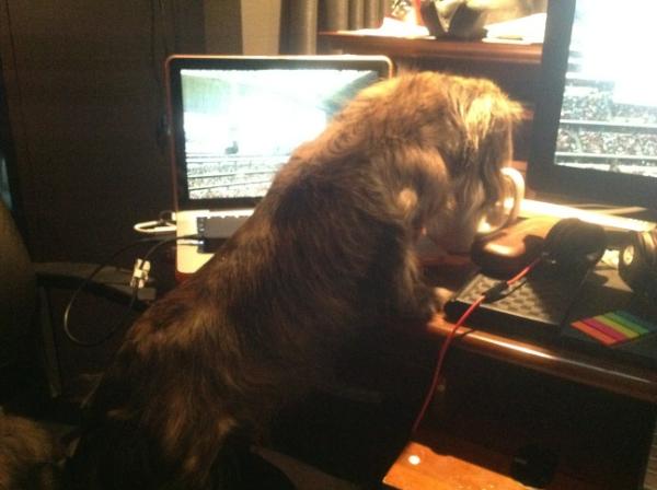 jw_hart's tweet photo. So that's why my coffee cup is always empty.  Thank you Cooper. http://t.co/HLoW1Ga6