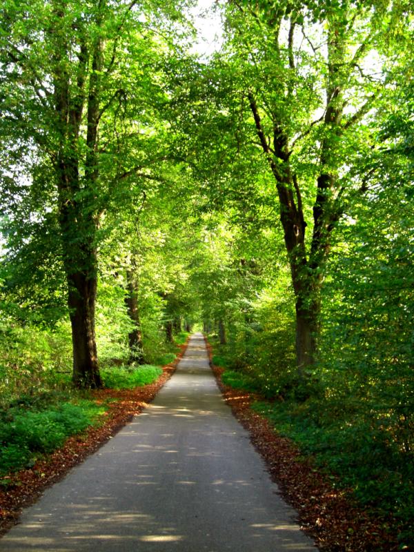 GermanCyclingTo's tweet photo. If you want to relax, do not hesitate to go there! http://t.co/mwn18m33