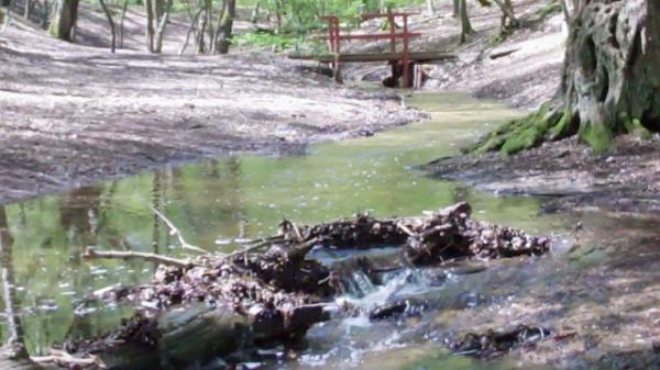 Water in the stream!