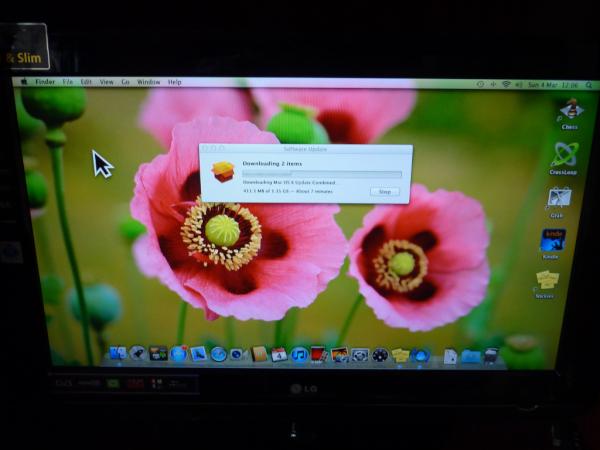 ComputerTweety's tweet image. A client asked me to make his pointer arrow as large as possible on a Mac (due to poor eyesight). #mactip